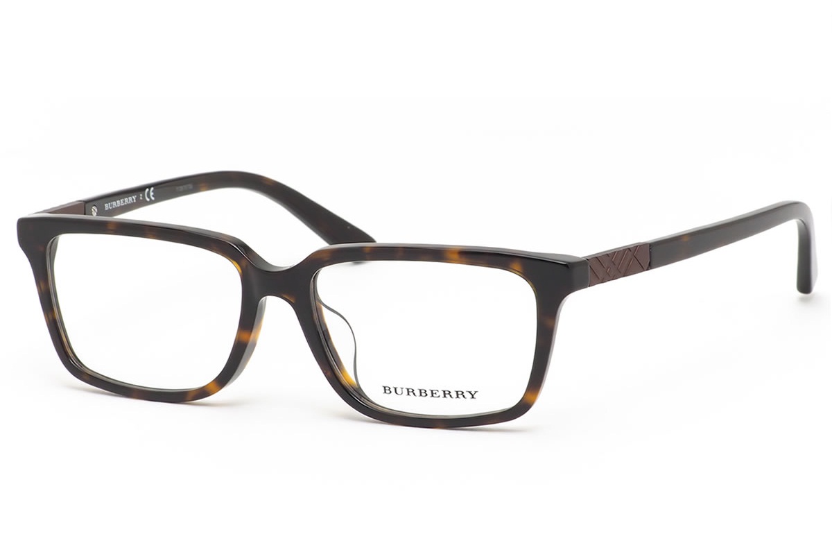 BURBERRY BE2219D-3002(55CN)