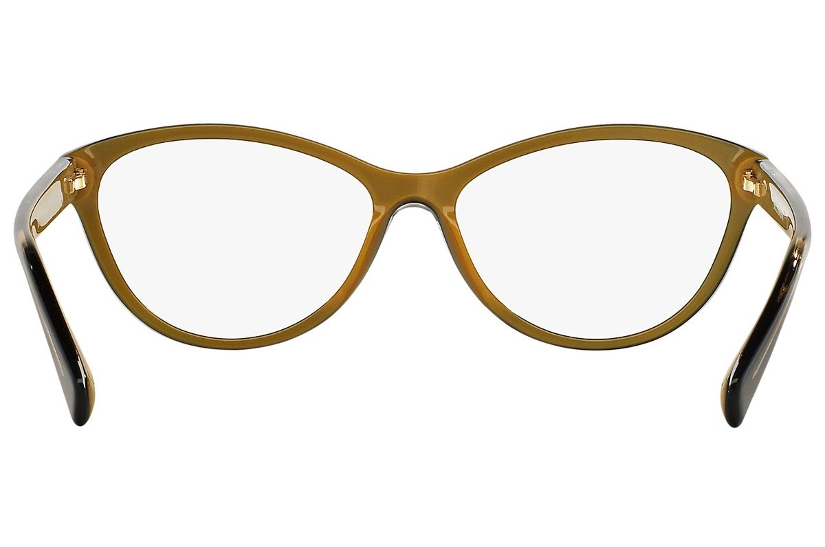 DOLCE & GABBANA DG3232F-2955