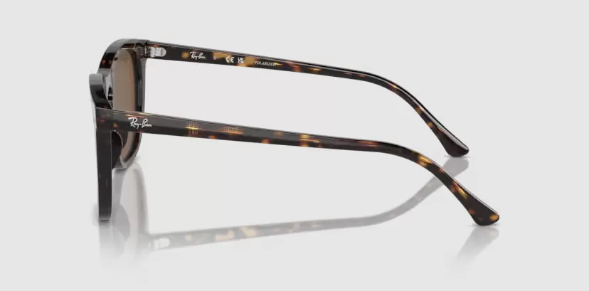Rayban 2210F-902/57(53)