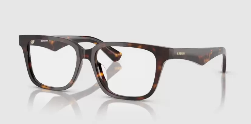 Burberry 2425D-3002(54)