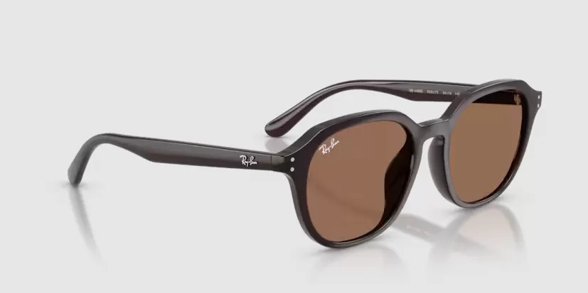 Rayban 4459D-6231/73(54)