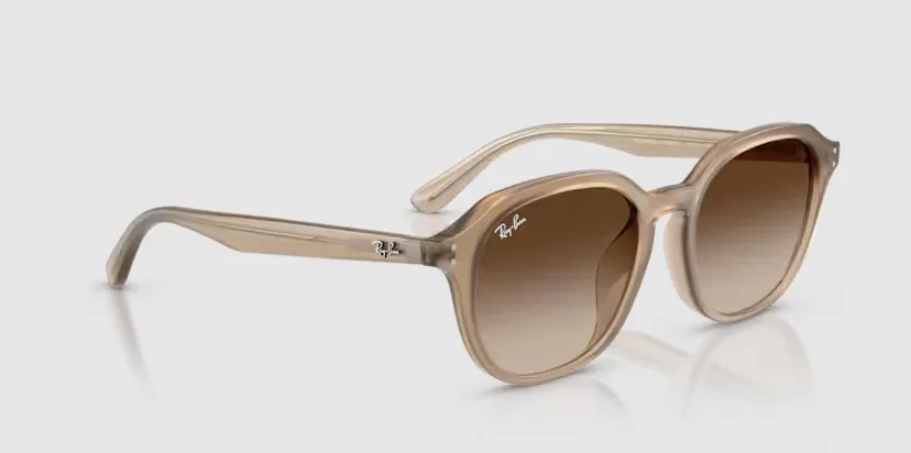 Rayban 4459D-6166/13(54)