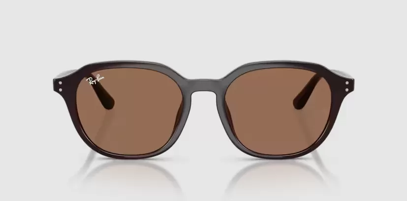 Rayban 4459D-6231/73(54)