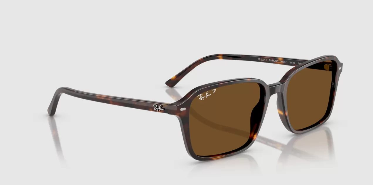 Rayban 2231F-902/57(56)