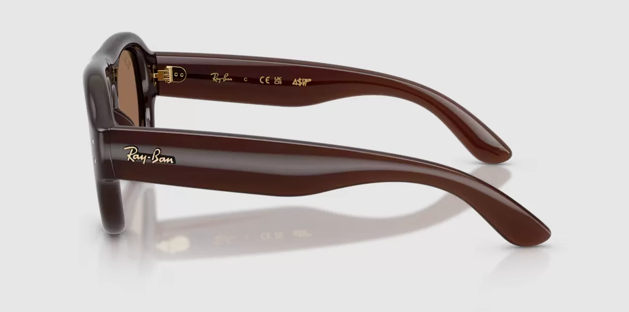 Rayban 4925-6896/73(52)