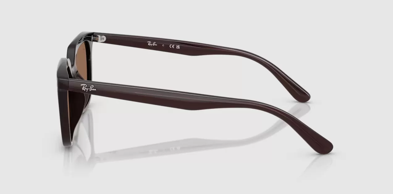 Rayban 4439D-6231/73(54)