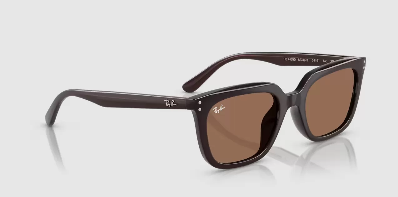 Rayban 4439D-6231/73(54)