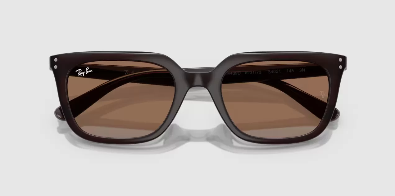 Rayban 4439D-6231/73(54)
