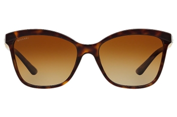 BVLGARI BV8163BF-504/T5