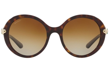 BVLGARI BV8204BF-504/T5