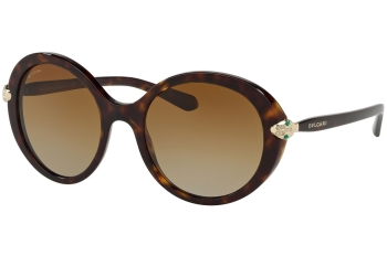 BVLGARI BV8204BF-504/T5