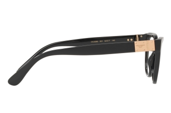 DOLCE & GABBANA DG3290F-501