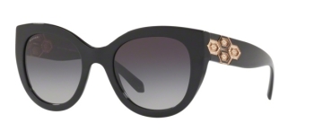 Kính Mát BVLGARI_BV8214B-501/8G