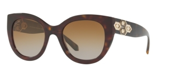 Kính Mát BVLGARI BV8214B-504/T5