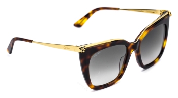 Mát Cartier CT0030SA-003