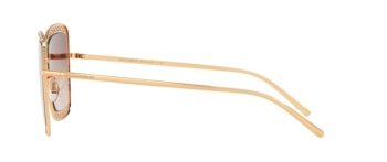Kính Mát Dolce & Gabbana DG2225-02/13