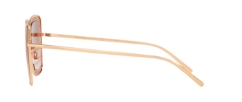 Kính Mát Dolce & Gabbana DG2225-12986F