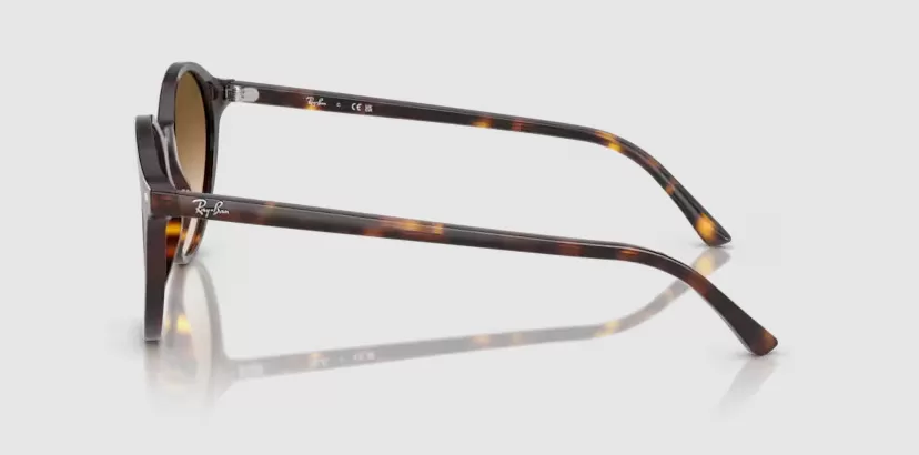 Rayban 2230F-902/51(51)