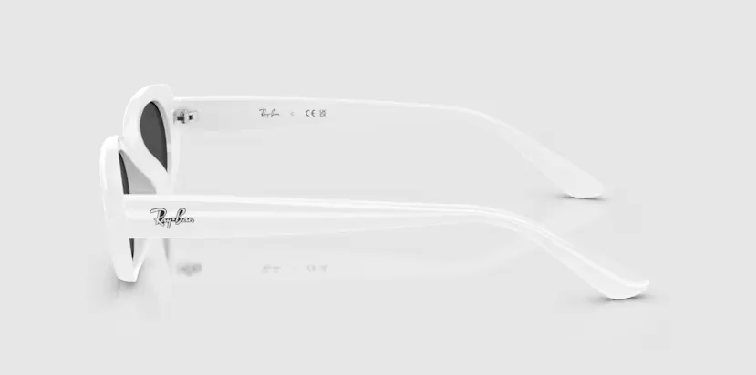 Rayban 4441D-6772/87(53)