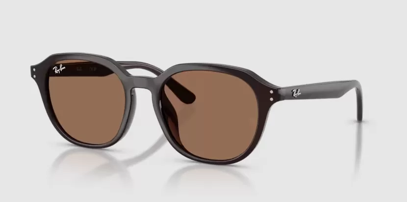 Rayban 4459D-6231/73(54)