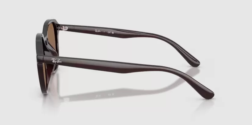 Rayban 4459D-6231/73(54)