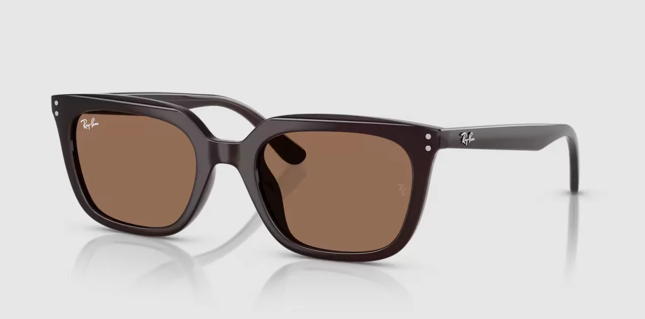 Rayban 4439D-6231/73(54)